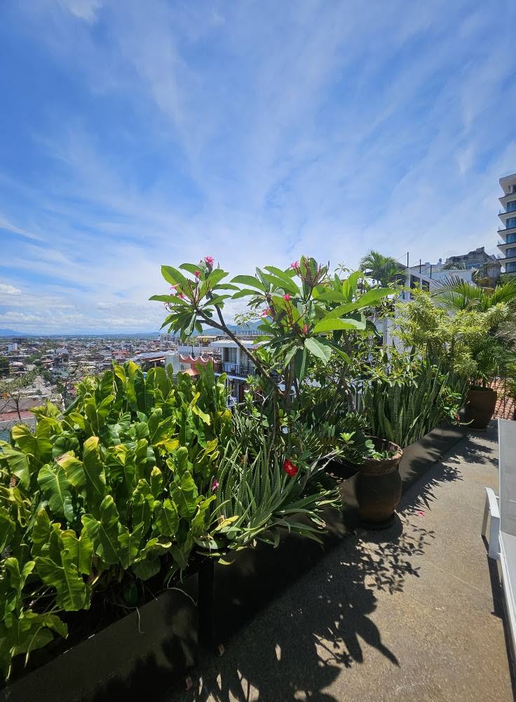 Tropical plants and pink flowers along the private terrace with city views